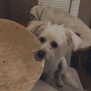 Meet your Posher, Karissa